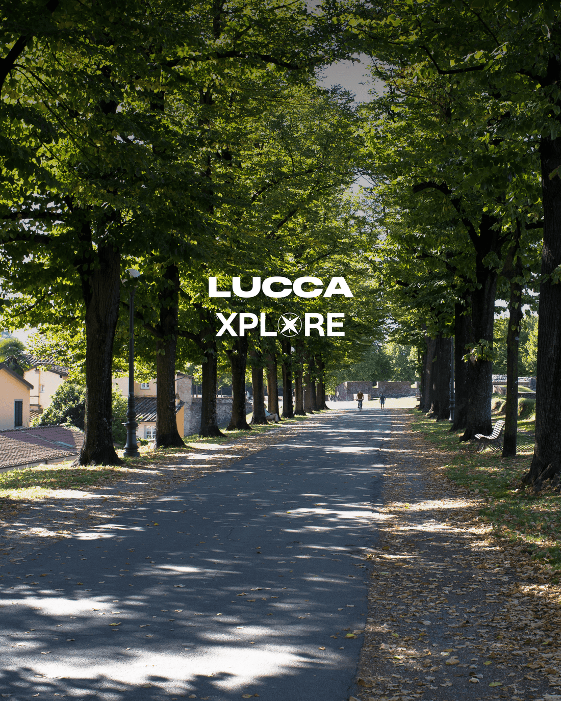 Lucca